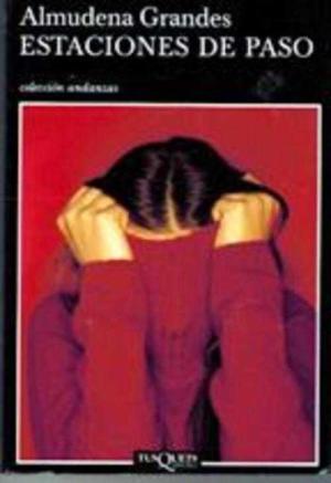 estaciones de paso de almudena grandes