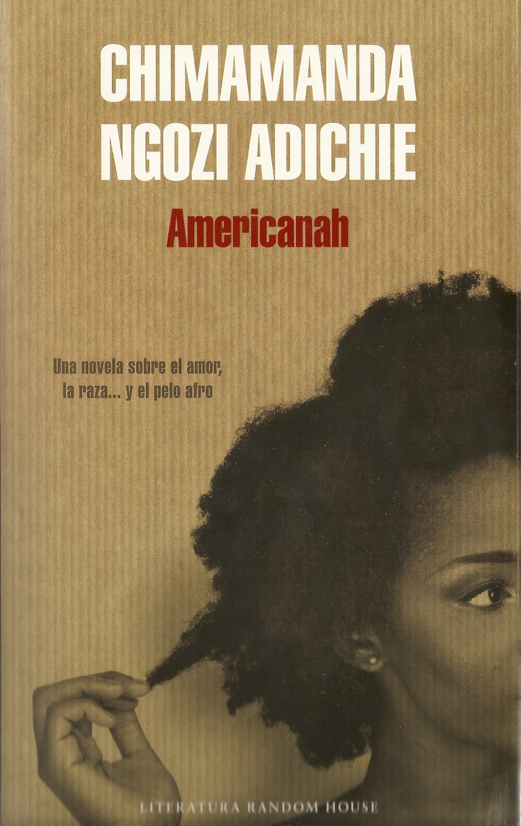 americanah chimamanda ngozi adichie